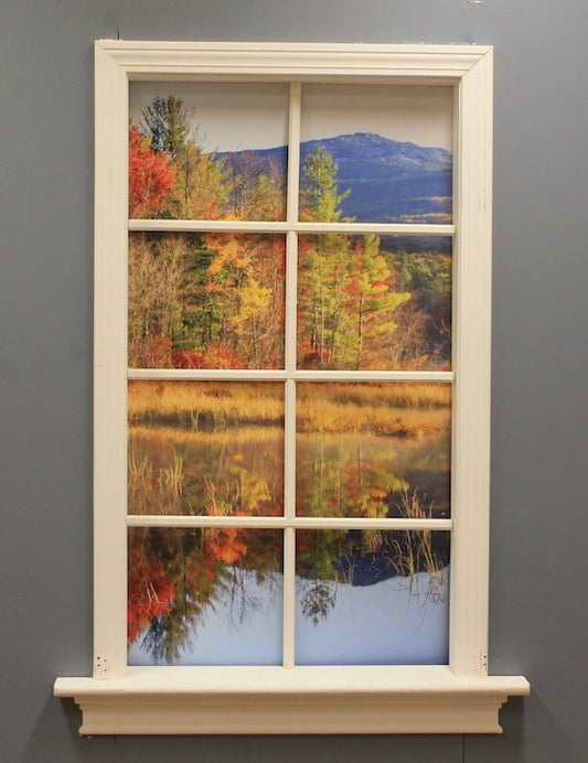 Window Grilles